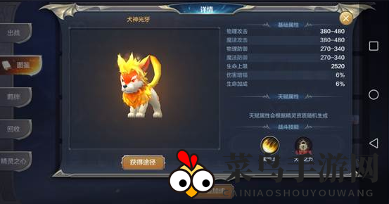 《奇迹MU：觉醒》弓箭手PK搭配攻略