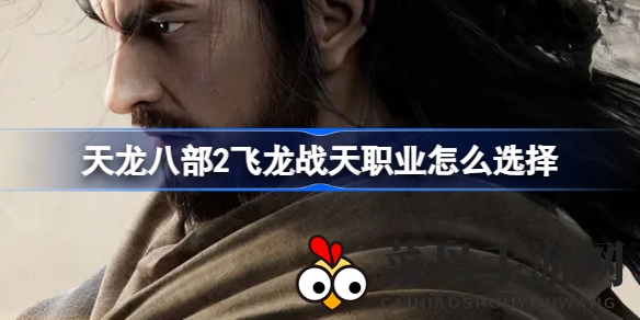 《天龙八部2飞龙战天》职业奥秘大揭秘：五大门派特色与实战攻略大放送