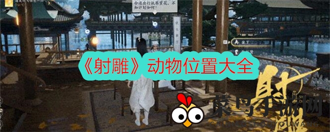 《射雕》江湖探秘：解锁动物踪迹，开启奇幻寻宝之旅
