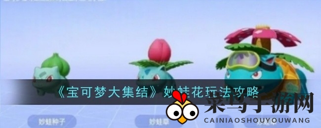 《宝可梦集结》妙蛙花远程攻略：花式战术，战力飙升！