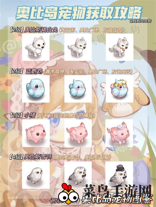《奥比岛手游》宠物获取大全