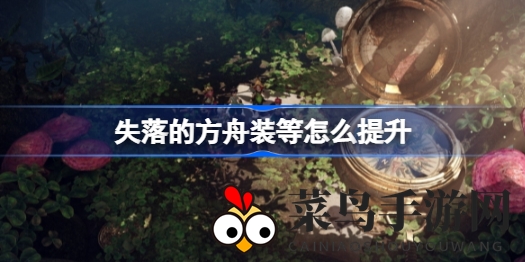 《失落的方舟》装备进阶指南：解锁升级奥秘，轻松增强战力