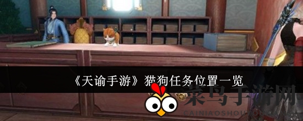 《天谕手游》猫狗任务揭秘：轻松寻宝，轻松通关攻略大公开！