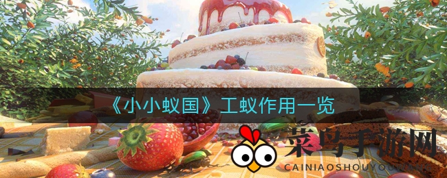 《小小蚁国》攻略：揭秘工蚁团队，助你打造高效蚁巢