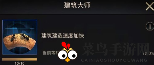 《小小蚁国》初期进化选择类型推荐