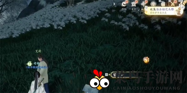 《射雕》海石榴花木雕收集攻略