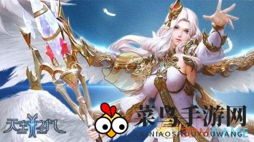 《天空之门》升级加速大法：新手变高手的神秘秘籍揭晓