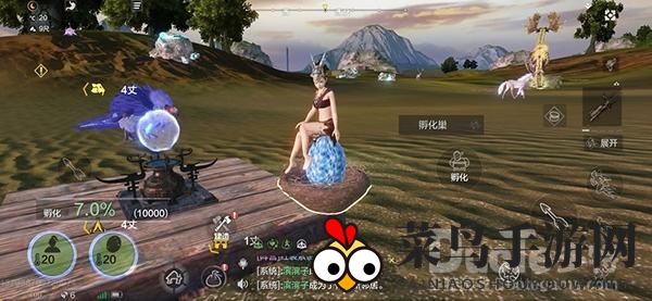 《妄想山海》孵化岳云鲲全攻略：揭秘手游珍稀宠物孵化奥秘，轻松成为生存高手