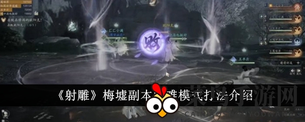 《射雕》手游梅墟副本挑战：揭秘五大Boss攻略，轻松闯关之旅揭秘