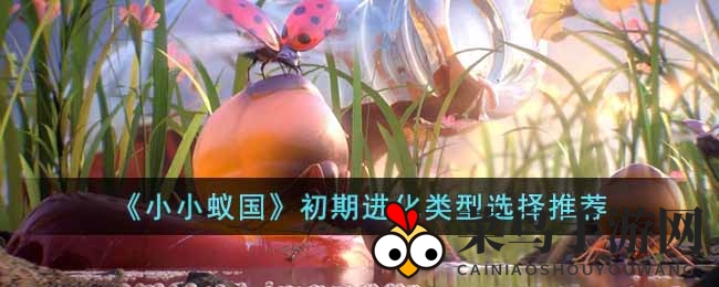 《小小蚁国》进化奥秘大揭秘：资源加速、蚁巢繁荣、建筑加速、战力飞跃，智慧攻略一网打尽