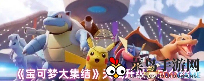 《宝可梦大集结》揭秘：天赋升级奥秘，徽章系统助你畅游成长之旅