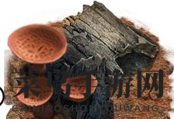 《小小蚁国》工蚁作用一览