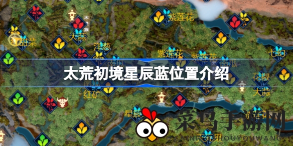 《太荒初境》神秘星辰蓝藏身之地大揭秘，养成冒险玩家必备攻略！