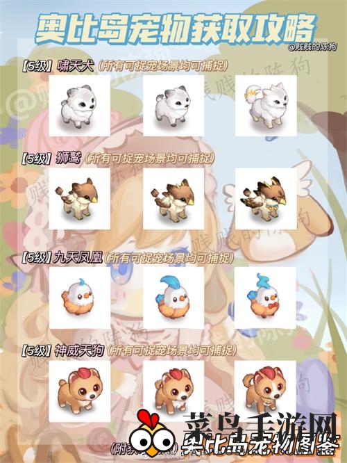 《奥比岛手游》宠物获取大全