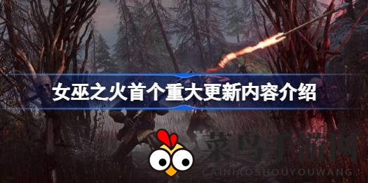 《女巫之火》革新启航，揭秘联机奇幻战场新变局