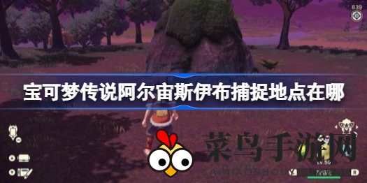 《宝可梦传说：阿尔宙斯》伊布捕捉秘境全解析，叶伊布与冰伊布进化奥秘揭晓