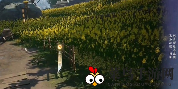 《射雕》吟咏节颂篇春分花田攻略