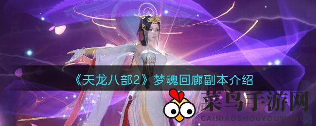 《天龙八部2》梦魂回廊副本介绍