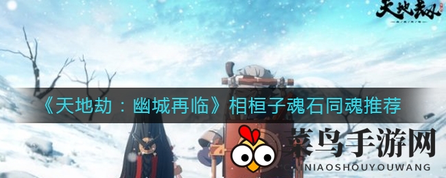 《天地劫：幽城再临》相桓子魂石搭配技巧大揭秘，助你一跃成为战场最强奶妈