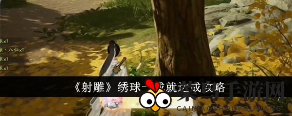 《射雕》神秘绣球一成就揭秘：四步攻略轻松解锁，成就荣耀尽在掌握！