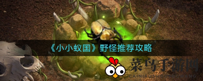 《小小蚁国》野怪军团养成术：高效生产战斗升级攻略