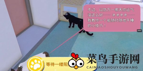 《小猫咪大城市》快速午睡动作获取方法