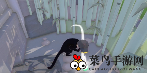 《小猫咪大城市》仙人掌帽获取攻略