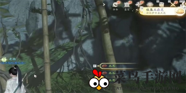 《射雕》五鼎芝收集方法介绍