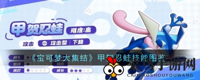 《宝可梦大集结》甲贺忍蛙技能全解析：下路霸主输出技巧大揭秘