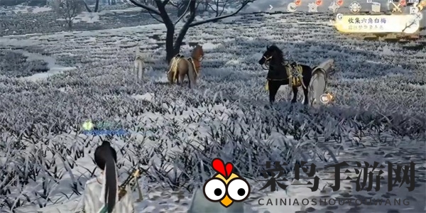 《射雕》六角白梅收集攻略