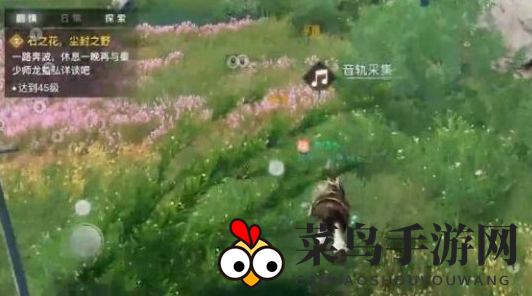 《天谕手游》课堂展示二昆虫的声音收集方法