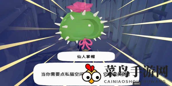 《小猫咪大城市》仙人掌帽获取攻略