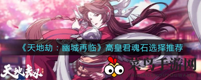 《天地劫：幽城再临》高皇君魂石搭配攻略：解锁最强组合，提升团队战斗力