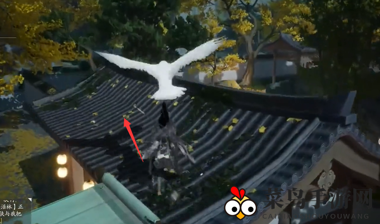 《射雕》东肆梦华录鹭羽全收集攻略