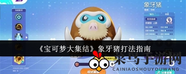 《宝可梦大集结》象牙猪攻略：前排霸主，控制技巧全解析