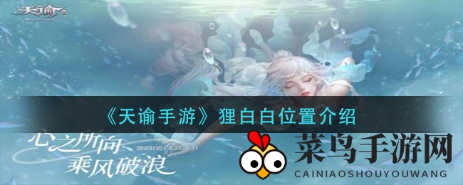 《天谕手游》寻宝攻略：揭秘狸白白神秘踪迹，开启奇遇之旅