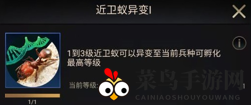 《小小蚁国》初期进化选择类型推荐