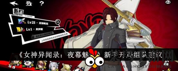 《女神异闻录：夜幕魅影》新手开局组队建议