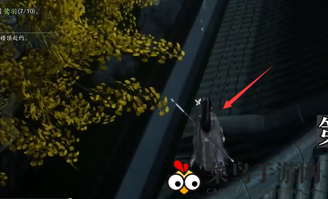 《射雕》东肆梦华录鹭羽全收集攻略