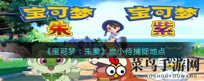 《宝可梦朱紫》炭小侍：探寻捕捉进化奥秘，解锁口袋妖怪新篇章