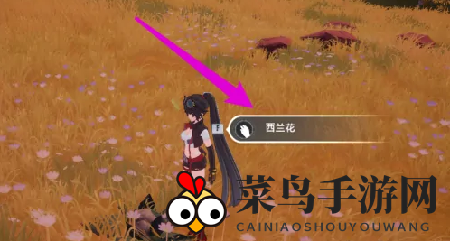 《幻塔》食材位置大全