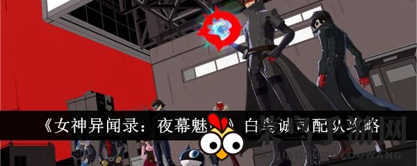 《女神异闻录：夜幕魅影》白鸟诚司神配队揭秘，新手必看！