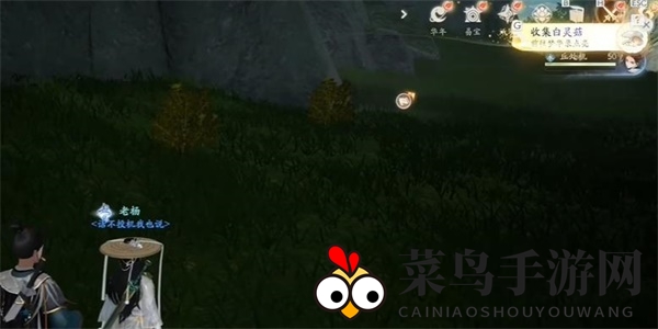 《射雕》白灵菇收集攻略