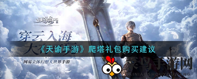 《天谕》爬塔礼包攻略：揭秘价值与培养技巧，轻松提升角色实力