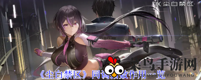 《尘白禁区》同调指数作用一览