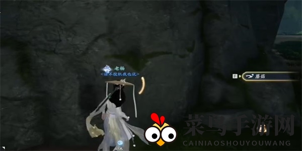 《射雕》白灵菇收集攻略