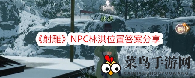 《射雕》游戏揭秘：NPC林洪藏身河间渡口，美食之旅等你探索