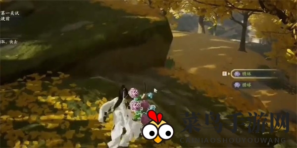 《射雕》绣球一成就达成攻略