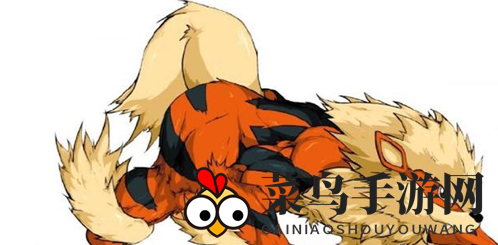 《宝可梦大探险》风速狗技能选择攻略