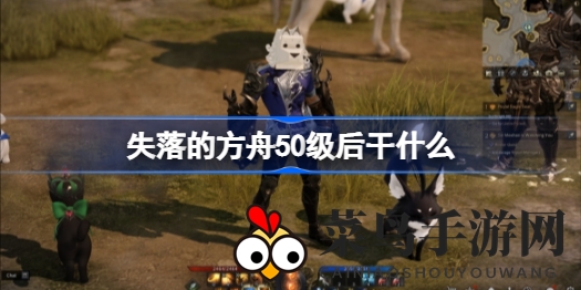 《失落的方舟》50级攻略大揭秘：轻松征服新世界，探索冒险奇遇